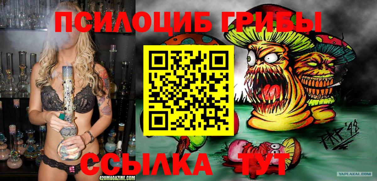 Воскресенск  Галлюциногенные грибы прущие грибы  Вход с VPN 